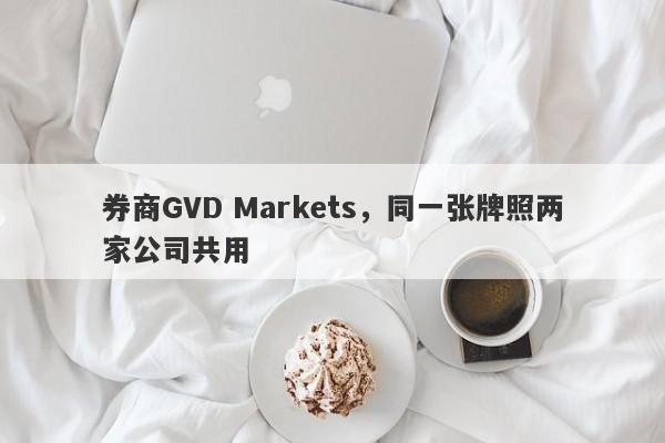 券商GVD Markets，同一张牌照两家公司共用