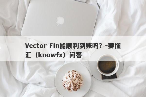 Vector Fin能顺利到账吗？-要懂汇（knowfx）问答