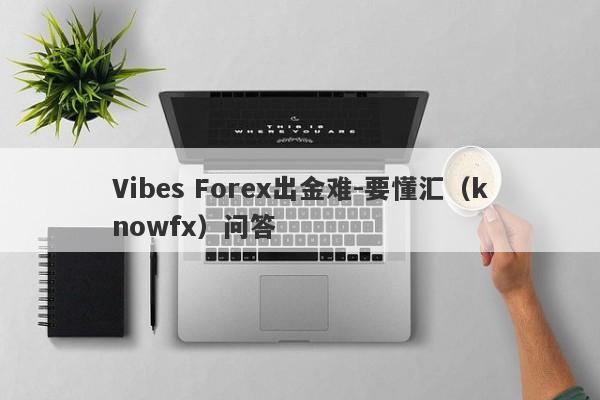 Vibes Forex出金难-要懂汇（knowfx）问答