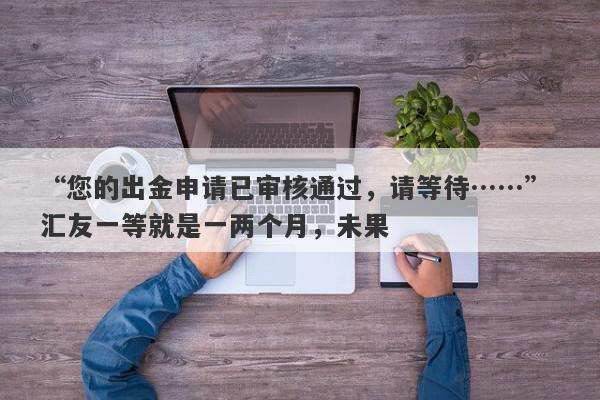 “您的出金申请已审核通过，请等待……” 汇友一等就是一两个月，未果