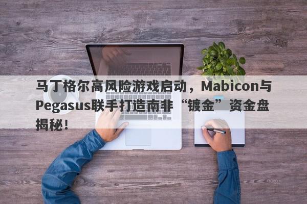 马丁格尔高风险游戏启动，Mabicon与Pegasus联手打造南非“镀金”资金盘揭秘！