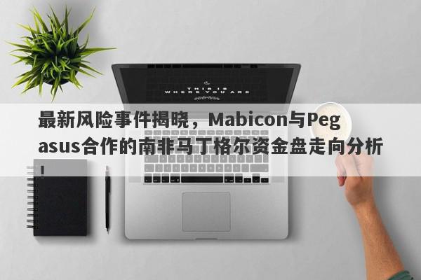 最新风险事件揭晓，Mabicon与Pegasus合作的南非马丁格尔资金盘走向分析！