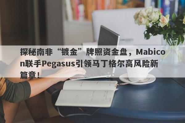 探秘南非“镀金”牌照资金盘，Mabicon联手Pegasus引领马丁格尔高风险新篇章！