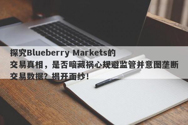 探究Blueberry Markets的交易真相，是否暗藏祸心规避监管并意图垄断交易数据？揭开面纱！