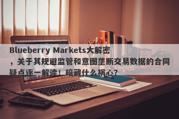 Blueberry Markets大解密，关于其规避监管和意图垄断交易数据的合同疑点逐一解读！暗藏什么祸心？