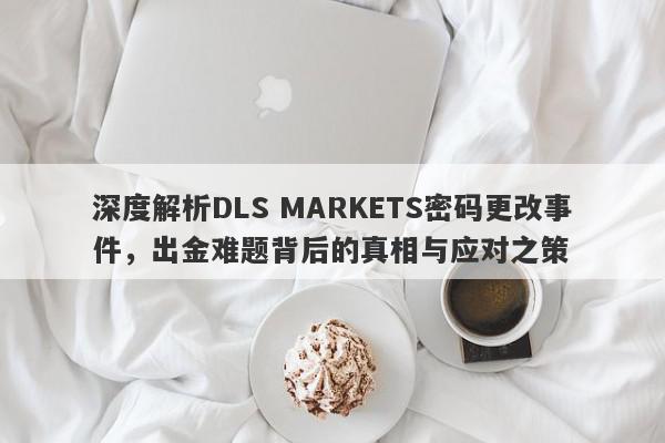 深度解析DLS MARKETS密码更改事件，出金难题背后的真相与应对之策