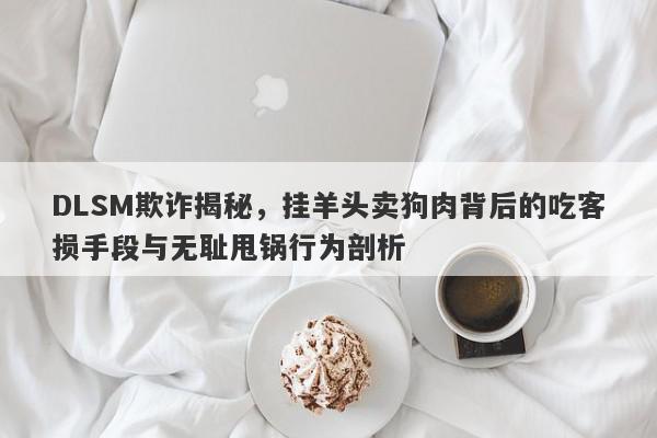 DLSM欺诈揭秘，挂羊头卖狗肉背后的吃客损手段与无耻甩锅行为剖析