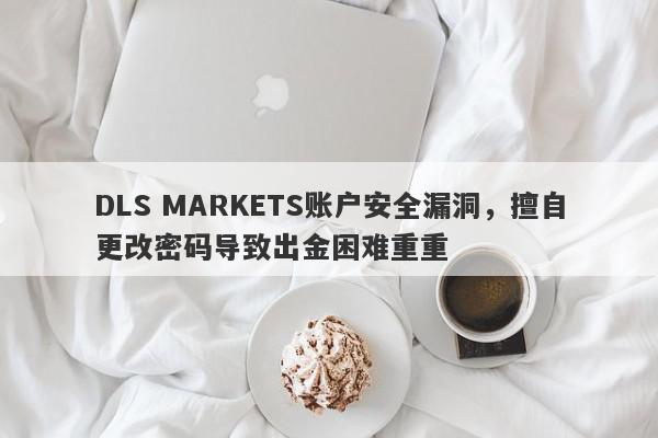 DLS MARKETS账户安全漏洞，擅自更改密码导致出金困难重重