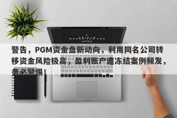 警告，PGM资金盘新动向，利用同名公司转移资金风险极高，盈利账户遭冻结案例频发，务必警惕！