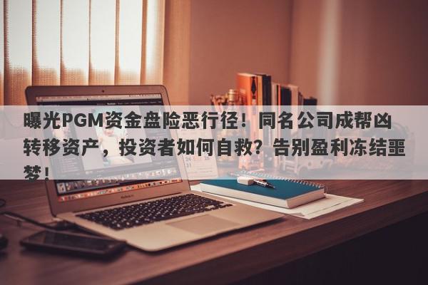 曝光PGM资金盘险恶行径！同名公司成帮凶转移资产，投资者如何自救？告别盈利冻结噩梦！