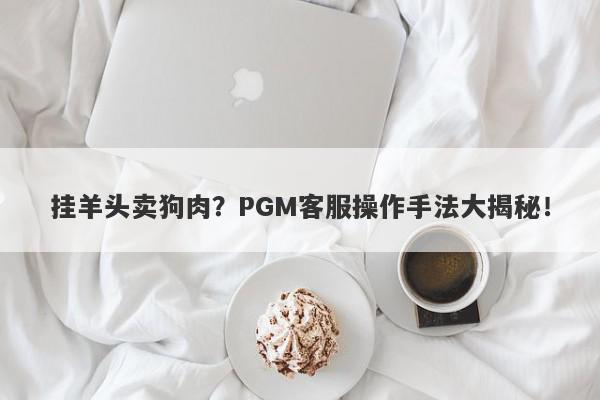 挂羊头卖狗肉？PGM客服操作手法大揭秘！