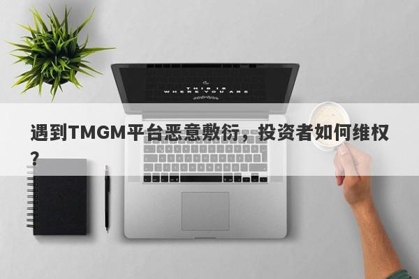 遇到TMGM平台恶意敷衍，投资者如何维权？