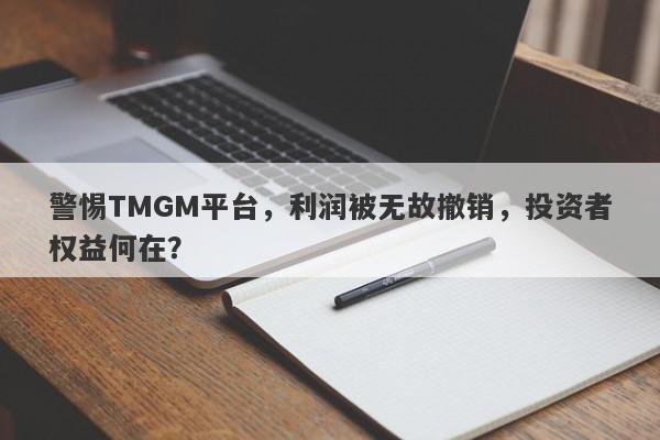 警惕TMGM平台，利润被无故撤销，投资者权益何在？