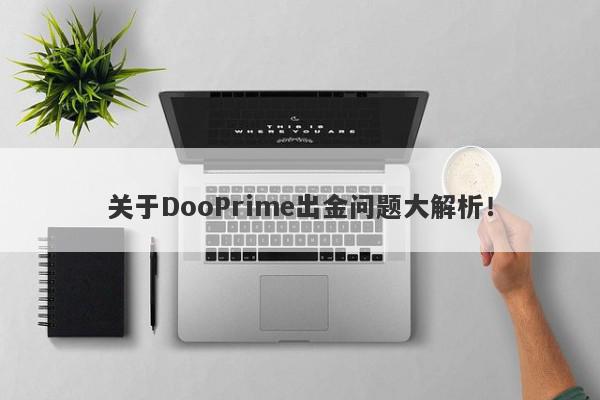 关于DooPrime出金问题大解析！