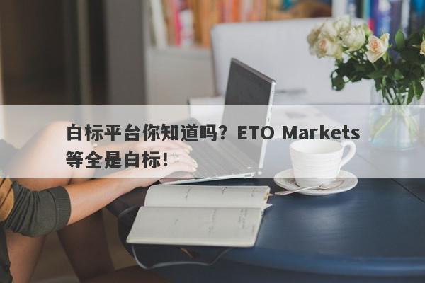 白标平台你知道吗？ETO Markets等全是白标！