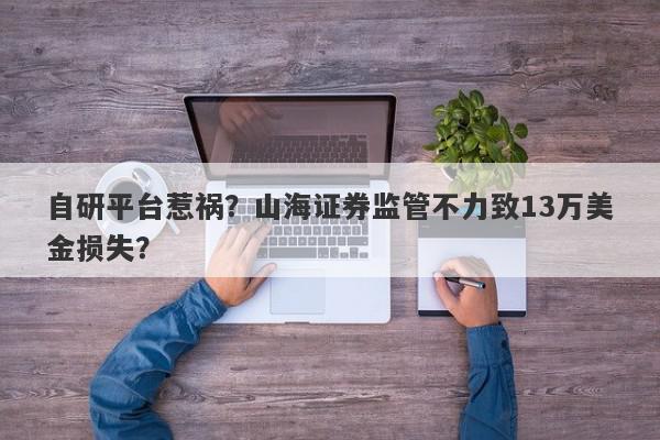 自研平台惹祸？山海证券监管不力致13万美金损失？