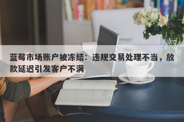 蓝莓市场账户被冻结：违规交易处理不当，放款延迟引发客户不满