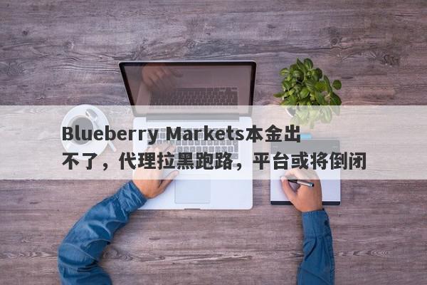 Blueberry Markets本金出不了，代理拉黑跑路，平台或将倒闭