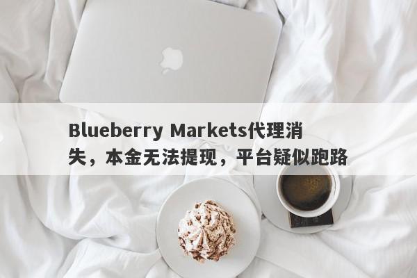 Blueberry Markets代理消失，本金无法提现，平台疑似跑路