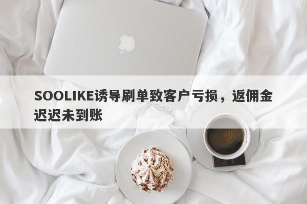 SOOLIKE诱导刷单致客户亏损，返佣金迟迟未到账