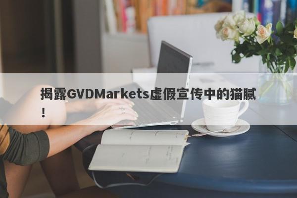 揭露GVDMarkets虚假宣传中的猫腻！