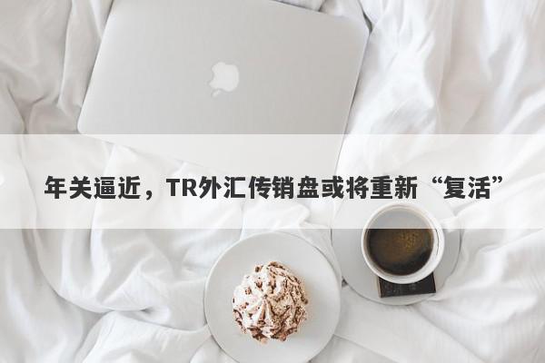 年关逼近，TR外汇传销盘或将重新“复活”