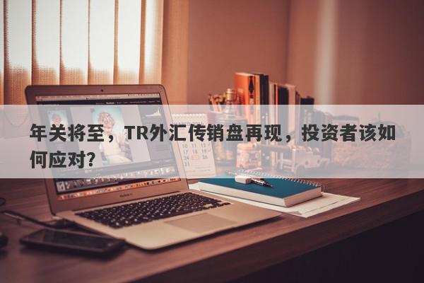 年关将至，TR外汇传销盘再现，投资者该如何应对？