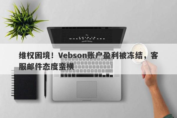 维权困境！Vebson账户盈利被冻结，客服邮件态度蛮横