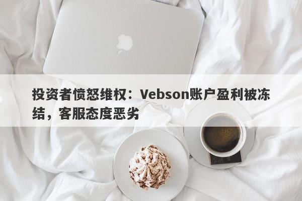 投资者愤怒维权：Vebson账户盈利被冻结，客服态度恶劣