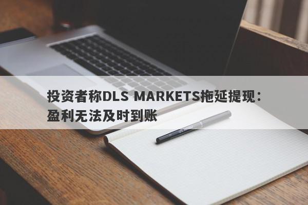 投资者称DLS MARKETS拖延提现：盈利无法及时到账