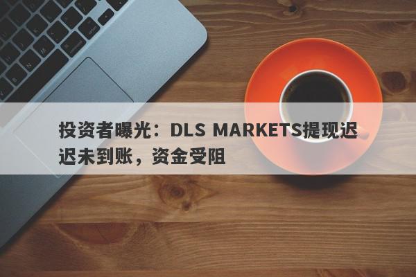 投资者曝光：DLS MARKETS提现迟迟未到账，资金受阻