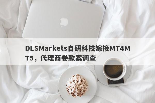 DLSMarkets自研科技嫁接MT4MT5，代理商卷款案调查