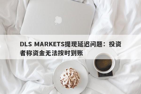 DLS MARKETS提现延迟问题：投资者称资金无法按时到账