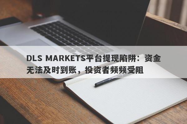 DLS MARKETS平台提现陷阱：资金无法及时到账，投资者频频受阻