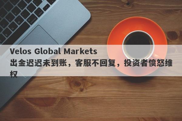 Velos Global Markets出金迟迟未到账，客服不回复，投资者愤怒维权