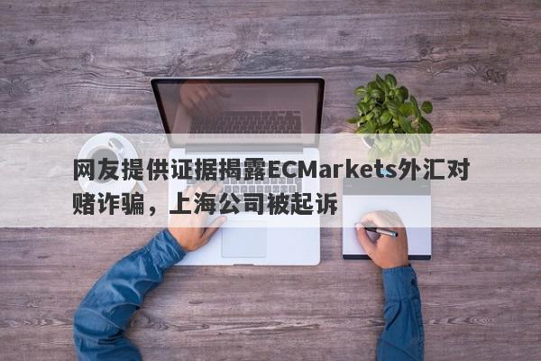 网友提供证据揭露ECMarkets外汇对赌诈骗，上海公司被起诉