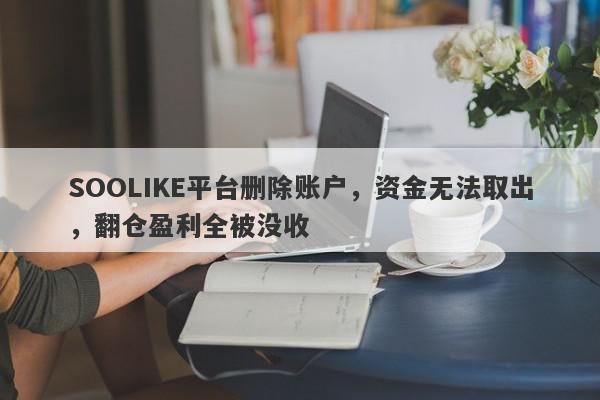 SOOLIKE平台删除账户，资金无法取出，翻仓盈利全被没收