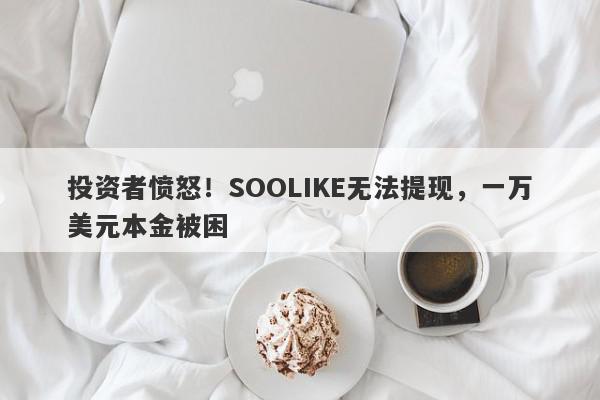 投资者愤怒！SOOLIKE无法提现，一万美元本金被困