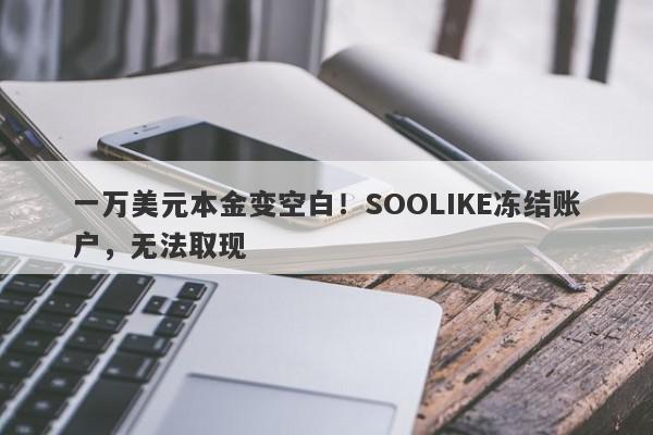 一万美元本金变空白！SOOLIKE冻结账户，无法取现